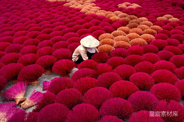 高清摄影 跪在一片红色花朵上的一个人