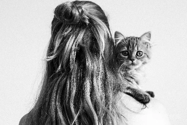 高清摄影 灰度照片中的妇女抱着一只小猫