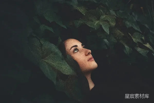 高清摄影 黑上衣的女人被树叶环绕