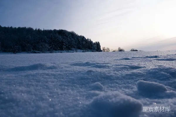 白天覆盖着雪的田野和树木