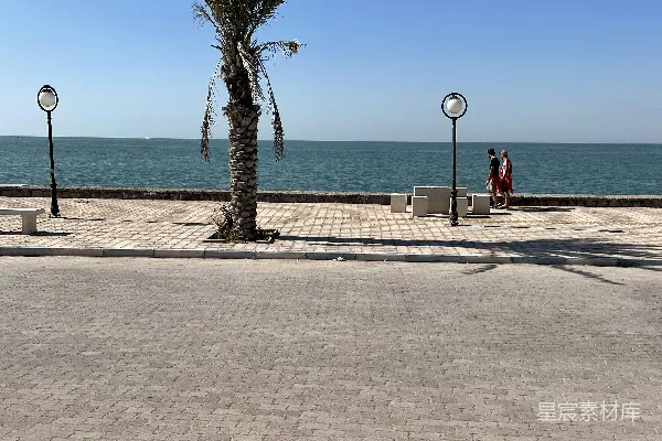 高清摄影 路边一棵棕榈树紧挨着海边的路旁