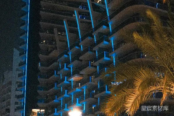 高清摄影 一座高大的建筑紧挨着一棵棕榈树。