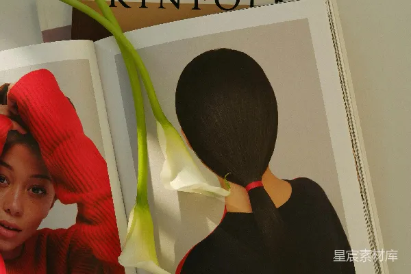 高清摄影 一本封面是头上插着花朵的女人的杂志