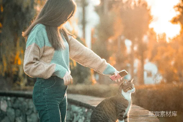 高清摄影 身穿蓝色直筒牛仔裤的女人正抱着一只白和棕色的猫。
