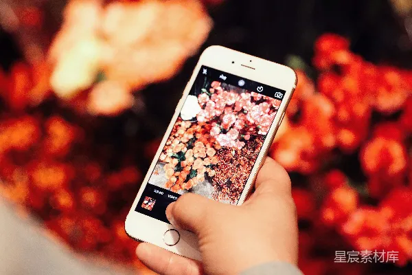 高清摄影 手持金色iPhone 6的人员正在拍照