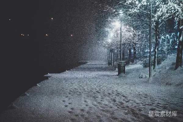 夜间雪覆盖的道路