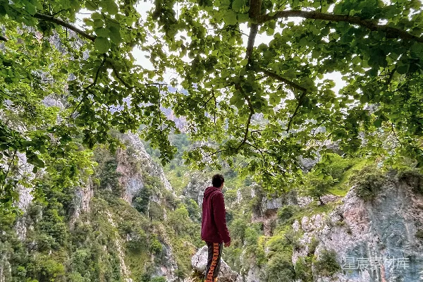 高清摄影 一个男子站在郁郁葱葱的山坡顶端