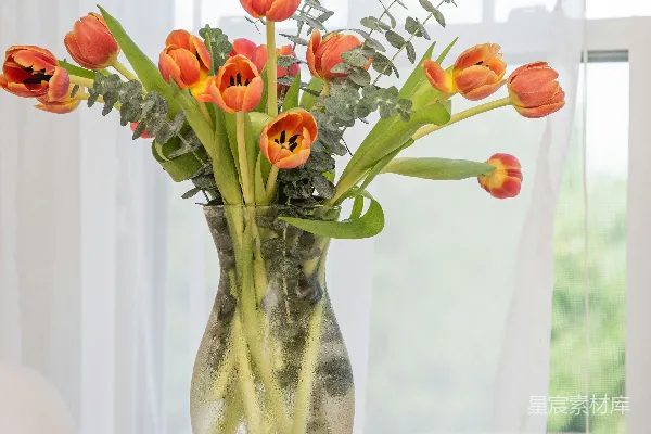 高清摄影 桌子上摆放着一 vase，里面插满了橙色的花朵。