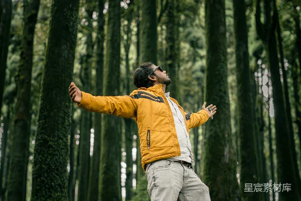 高清摄影 身穿长袍的男子伸开双臂站在一片浓密的绿色森林中。