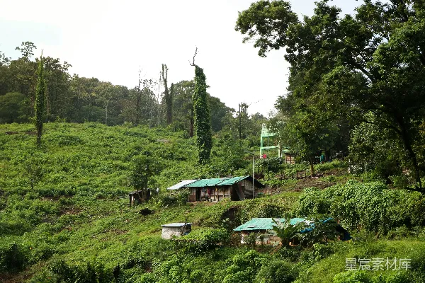 高清摄影 一片草地上一排建筑，周围有树木环绕。