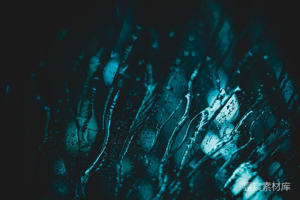 高清摄影 玻璃上的水珠