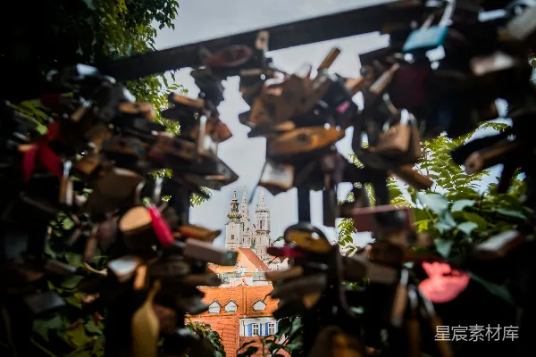 高清摄影 树枝上的蝴蝶群