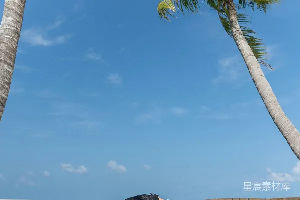高清摄影 女性在热带海滩上做瑜伽桥式
