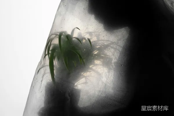 高清摄影 绿色和白色的抽象绘画