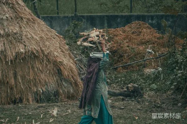 高清摄影 一个女人背着木头走在路上。