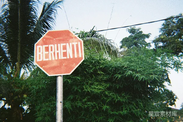 高清摄影 一个红色的交通信号灯旁边紧挨着一片浓绿的森林。