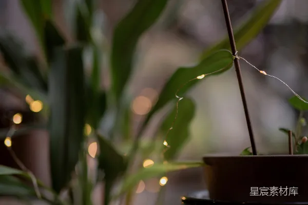 高清摄影 棕色花盆上的水滴