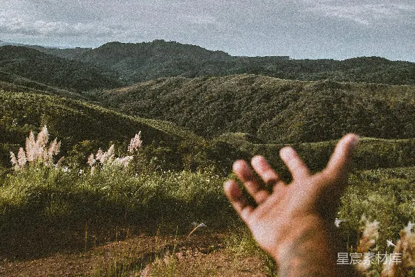 高清摄影 人的手放在绿色草地上的田间