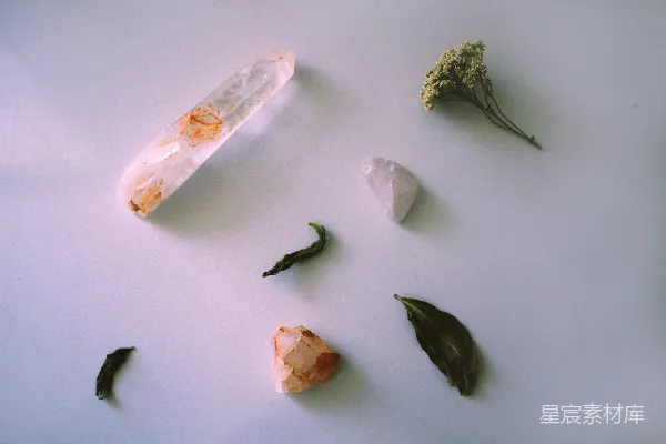 高清摄影 白色桌面上放着一株绿色植物。