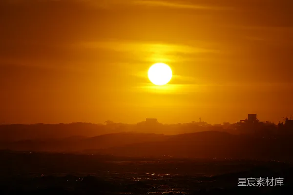 高清摄影 夕阳下的树影轮廓