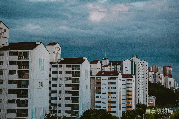 高清摄影 有树有建筑的城市