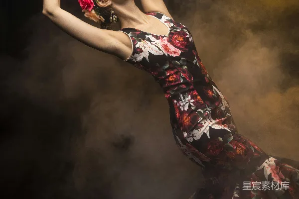 高清摄影 黑白色 floral 裙装的红白女式连衣裙