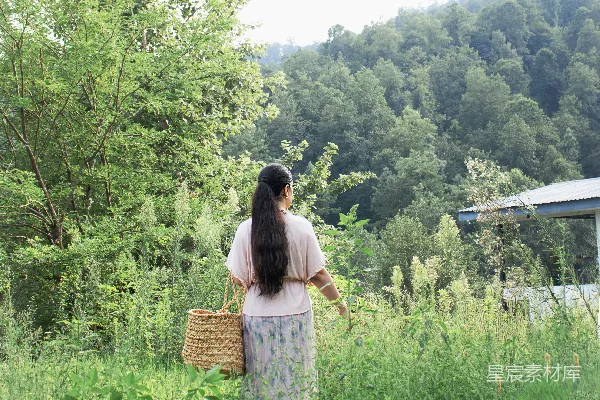高清摄影 一个女人穿过一片繁茂的绿草地