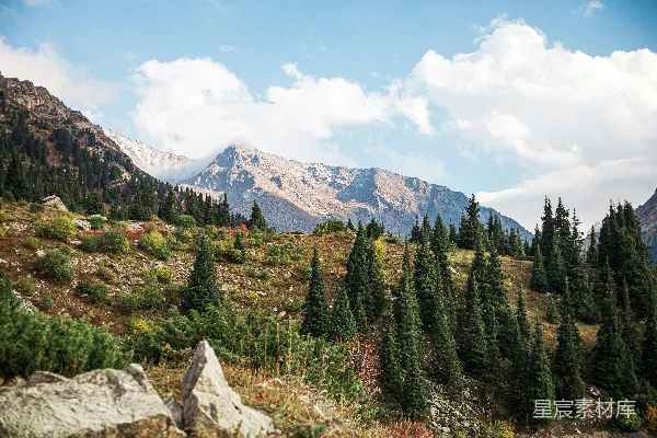 高清摄影 山峦的景象，树木与岩石相伴