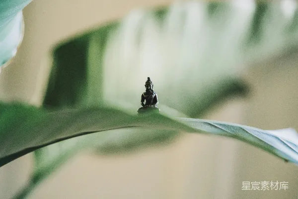 高清摄影 聚焦拍摄的黑佛雕像与绿叶的选景照片