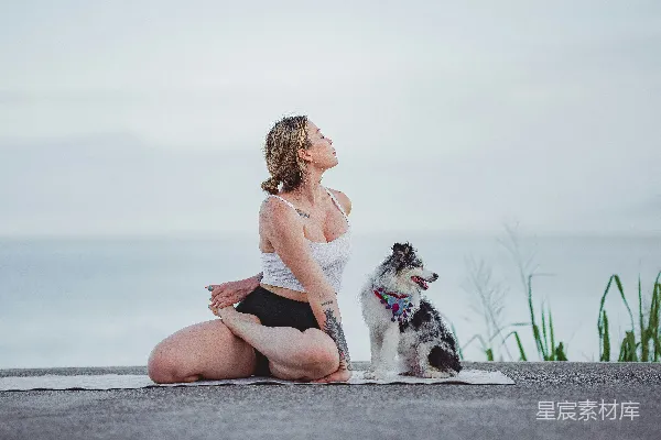 高清摄影 一位妇女坐在一块岩石上，带着一条狗。
