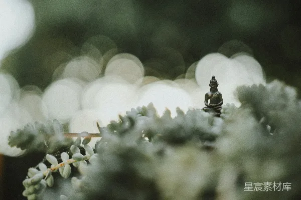 高清摄影 佛雕像的特写选择性摄影