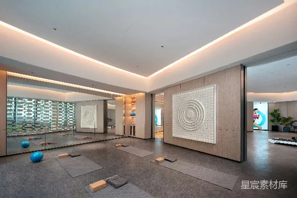 高清摄影 现代瑜伽 studio，配备瑜伽垫和健身球。