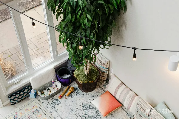 高清摄影 绿色植物放在棕色陶瓷花瓶中