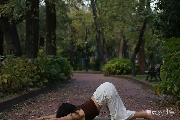 高清摄影 一个女人躺在一条砖砌小径上的背部。