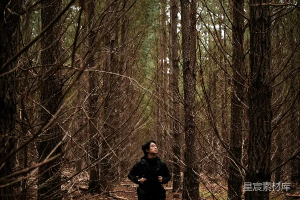 黑色夹克和裤子的男人站在树之间