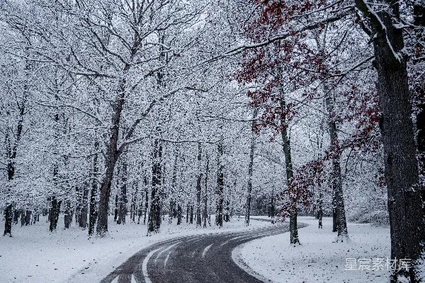 树木覆盖的空旷道路上覆着白雪