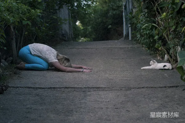 高清摄影 跪在地上的女人面前趴着的猫