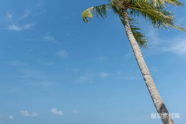 高清摄影 女性在热带海滩上做瑜伽。