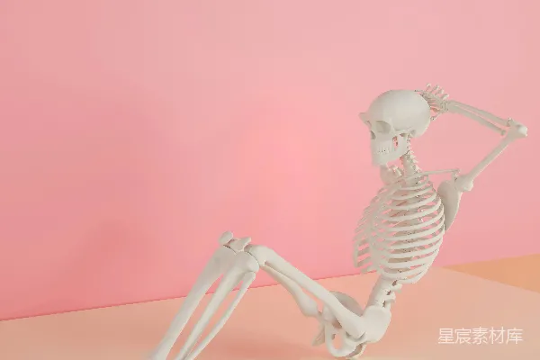 高清摄影 一个 Skeleton 坐在粉色表面的后面