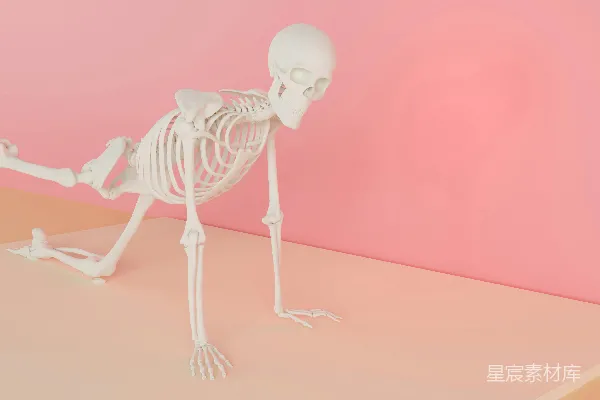 高清摄影 桌子上站立着一个人骨架的一条腿