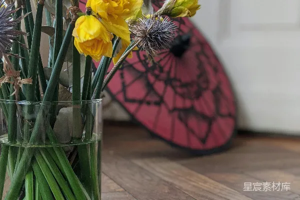 高清摄影 透明玻璃花瓶中的黄色花朵