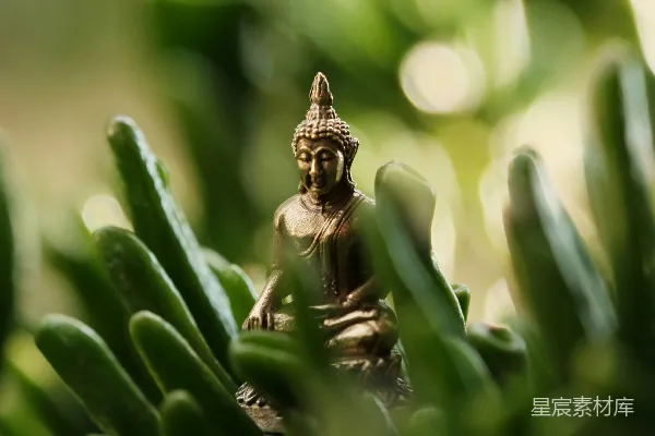 高清摄影 一尊小 Buddha 像坐在一些草中间