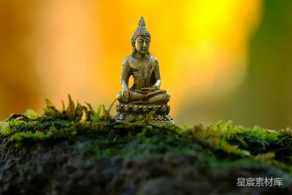 高清摄影 一尊小佛像坐在覆盖着青苔的石头上
