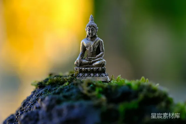 高清摄影 一尊小佛像坐在覆盖着青苔的岩石之上