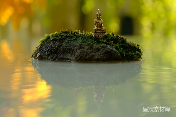 高清摄影 一尊小 Buddha 玉雕像置于覆盖着苔藓的岩石之上