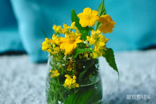 高清摄影 桌子上摆放着一束盛开着黄花的花瓶。