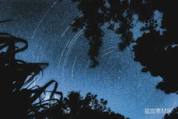 星空中的流星轨迹出现在树木之上