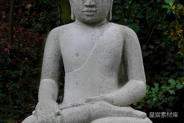 高清摄影 一棵佛 statue 坐在 中间 一片 林子