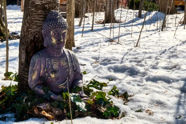 高清摄影 一尊佛像坐在树旁的雪中