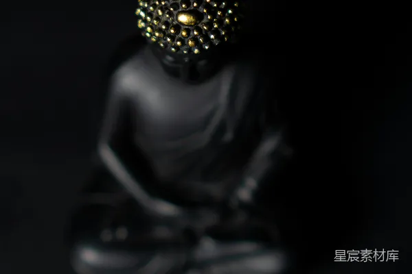 高清摄影 黑金佛像 figurine